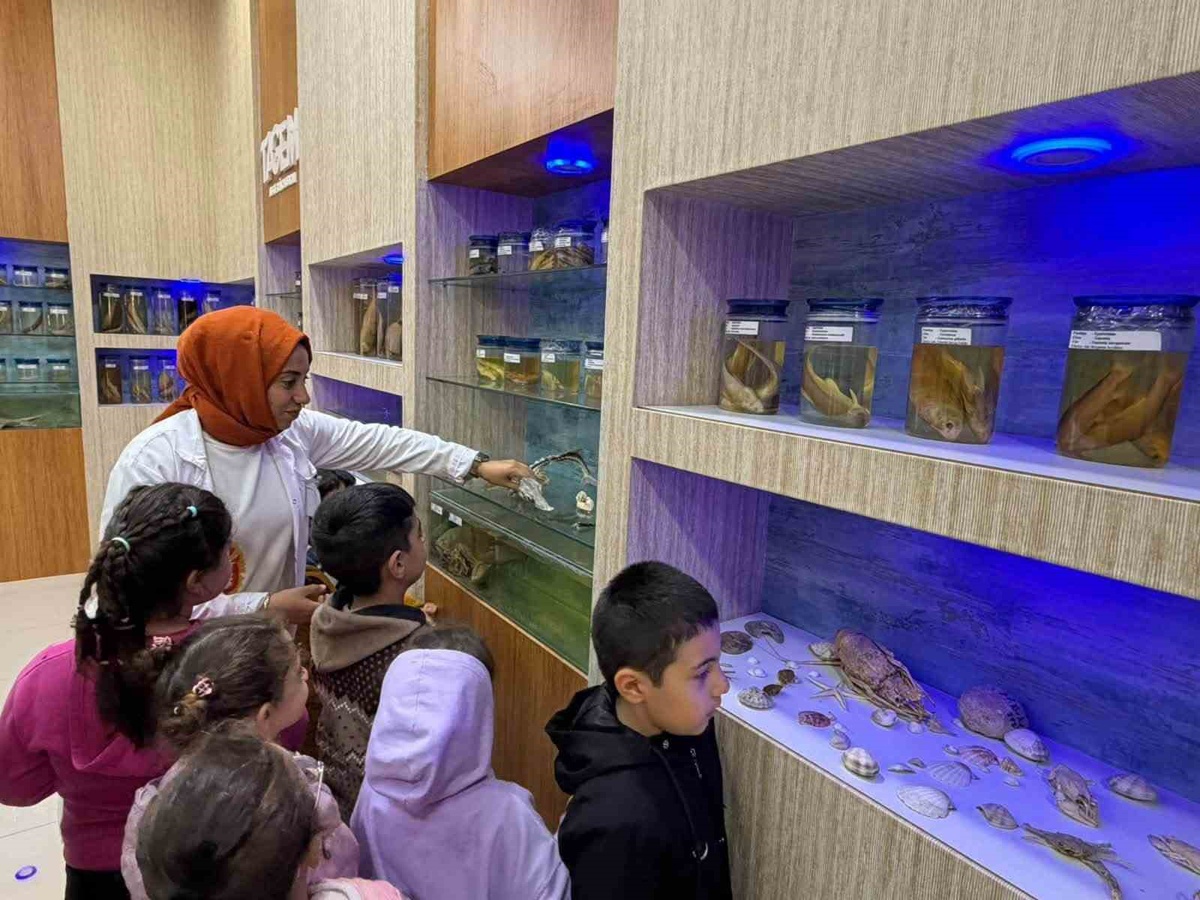 Elazığ’da öğrencilerden balık müzesini gezdi