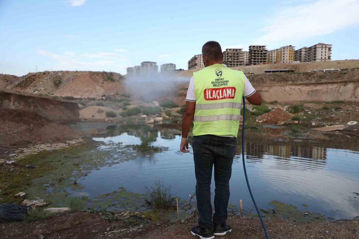 Hatay Büyükşehir Belediyesi 15 ilçede haşere ve vektör mücadelesini sürdürüyor