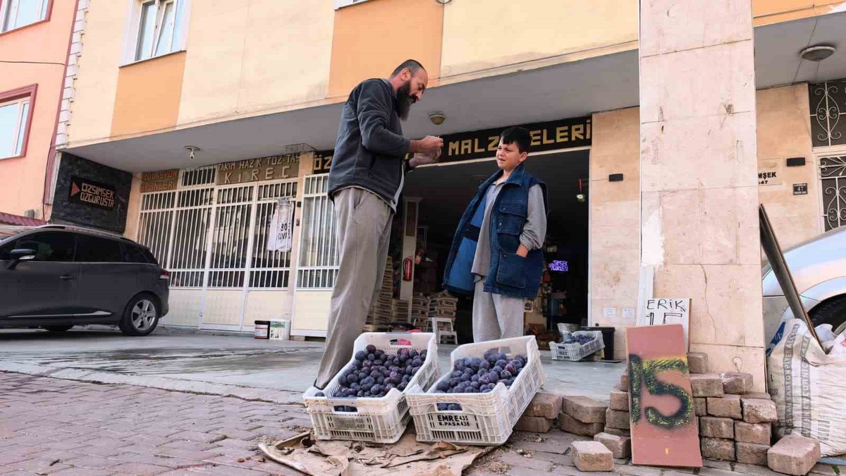 İnegöl\'de erik satamayan Özgür Şimşek, 10 ton eriğin bir kısmını bedava dağıttı