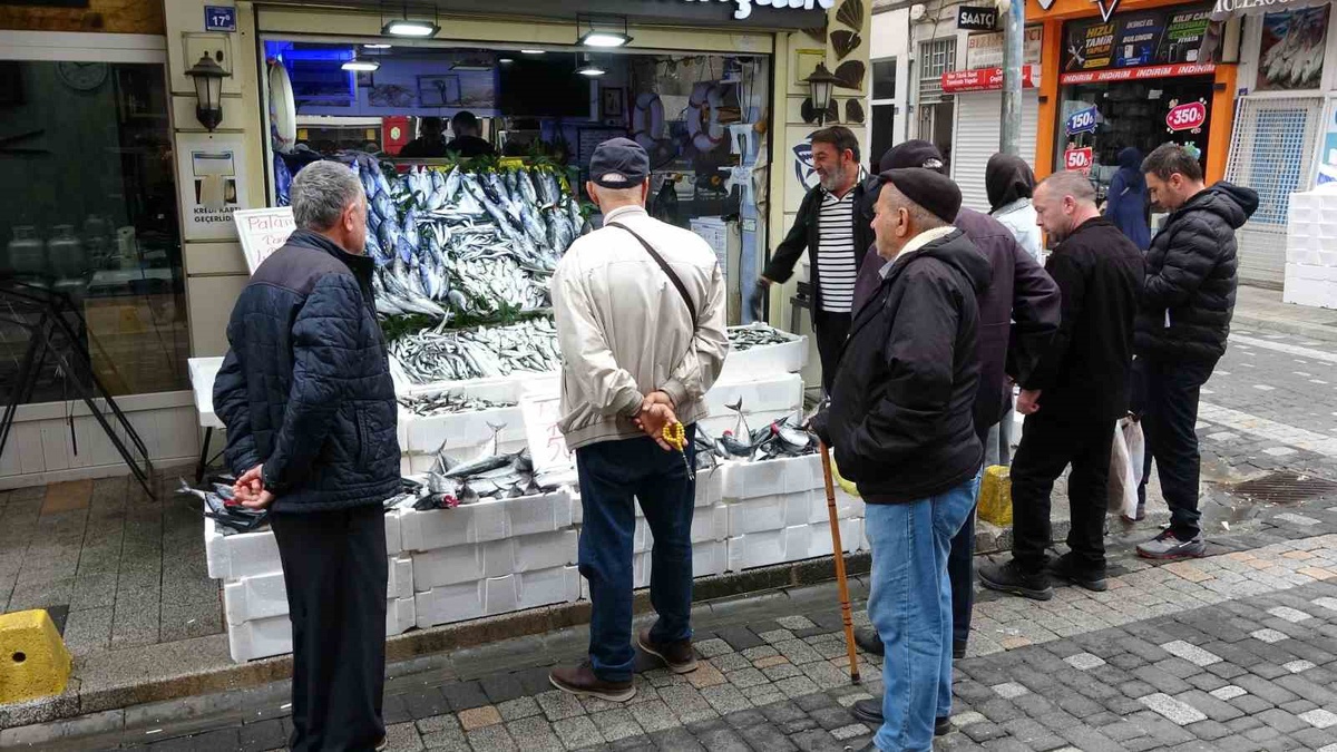 Palamut avındaki bolluk Karadeniz\'de fiyatları yarı yarıya düşürdü, tanesi 50 liraya indi