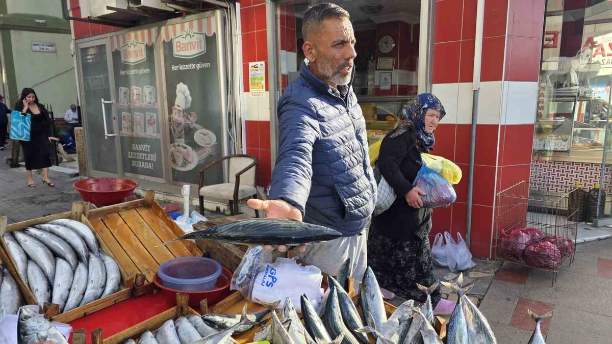 Bandırma\'da seyyar balıkçı tezgahlarında küçük boy palamut 75 liraya düştü