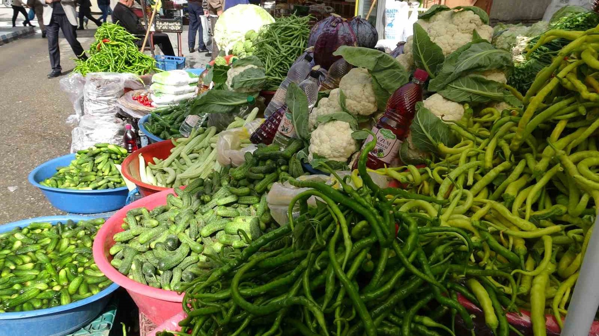 Van\'da turşuluk sezonu açıldı, kornişonun 3 kilosu 100 liradan satılıyor