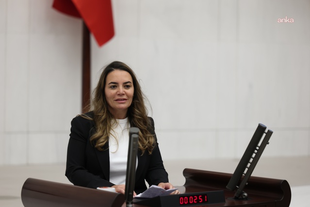 Ayyüce Türkeş Taş, babasının mezarında Fatiha okunmasının engellenemeyeceğini söyledi