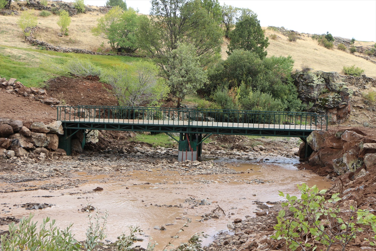 Bingöl Karlıova\'da besiciler, meraya yeni köprüyle 2 kilometre yol gitmeden ulaşacak