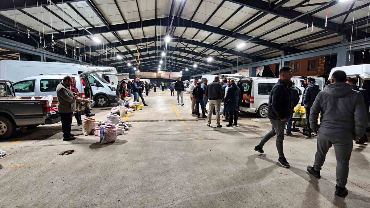 Düzce Kuzu Kestanesi pazarında sert pazarlıklar dışarıdan kavga sanılıyor