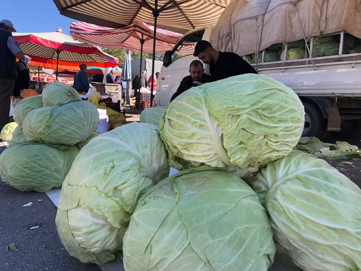 Erzincan\'da lahana tezgahlarda 200 ile 250 TL arasında alıcı buluyor