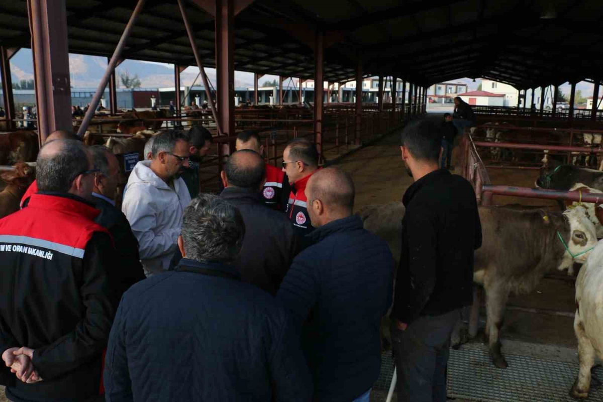 Erzincan\'da sonbahar dönemi şap aşılama kampanyasında üreticilere uyarı yapıldı