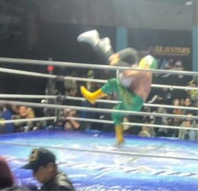 Güreş ringinde korkunç ölüm! Hakem yere yığıldı, bir daha kalkamadı