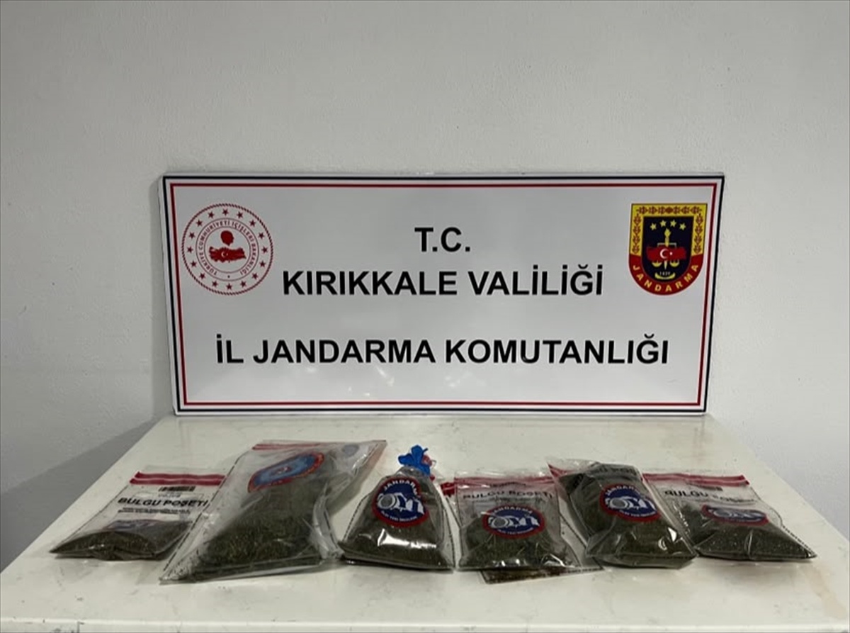 Kırıkkale\'de bahçesinde kenevir yetiştiren şüpheli, 14 kök kenevirle gözaltına alındı