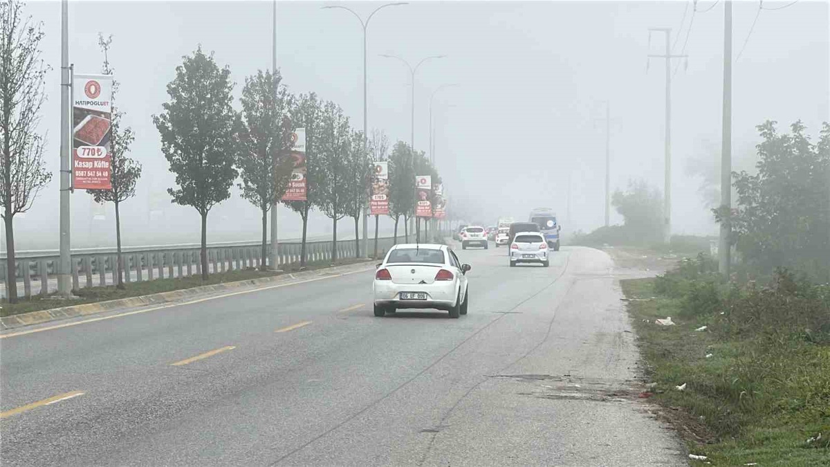 Sakarya\'da yoğun sis nedeniyle görüş mesafesi yer yer 15 metreye kadar indi