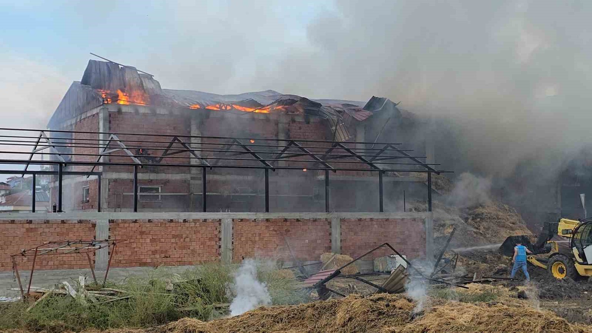 Samsun Vezirköprü\'de kaynak kıvılcımı samanları tutuşturdu, 7 bin balya zarar gördü