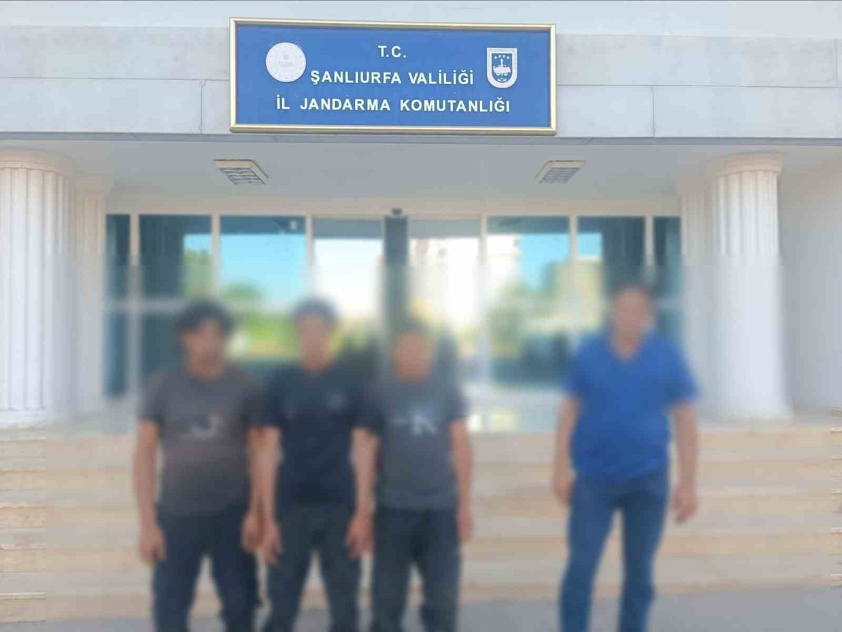Şanlıurfa\'da jandarma operasyonunda 9 göçmen kaçakçısı yakalandı