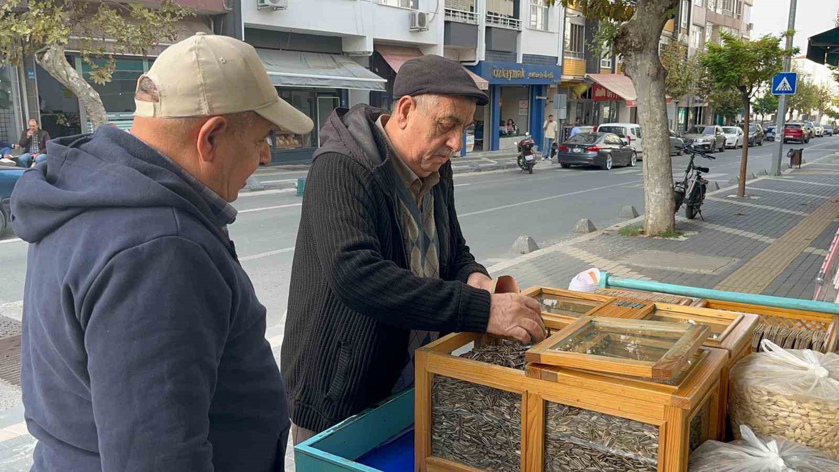 Tekirdağ Hayrabolu\'da çekirdek satan Yaşar Başkır, 3 çocuğunu bu işle evlendirdi