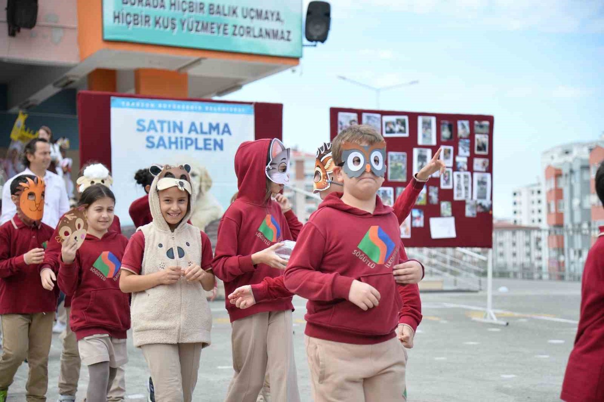 Trabzon Akçaabat\'ta hayvan sevgisi etkinliğinde jandarma köpekleri gösteri yaptı