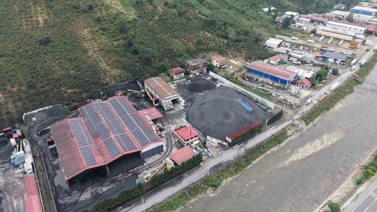 Trabzon\'da 8 kömür tesisinin faaliyeti çevre ve insan sağlığı gerekçesiyle durduruldu