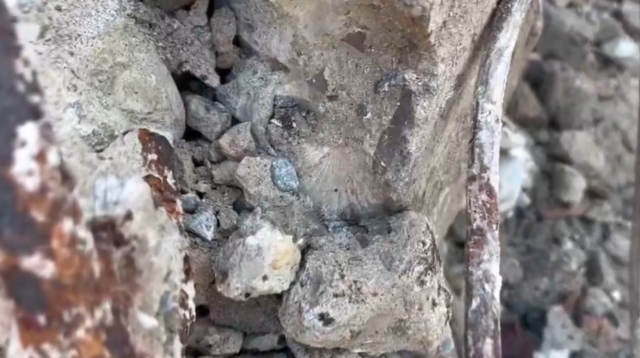 5 kişiye mezar olan binanın betonundan deniz kabukları çıktı