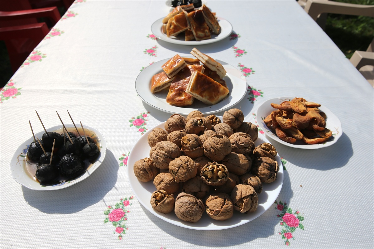 Adilcevaz\'da tescilli ceviz hasadı başladı, ilçe 2 bin 809 tonla Bitlis\'te ilk sırada