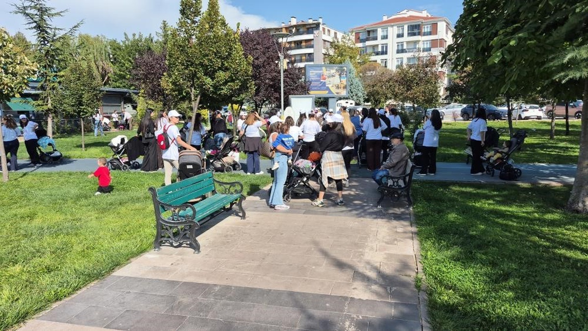 AK Parti Eskişehir İl Başkanı Albayrak, 75 annenin parktan çıkarılmasını takip edecek