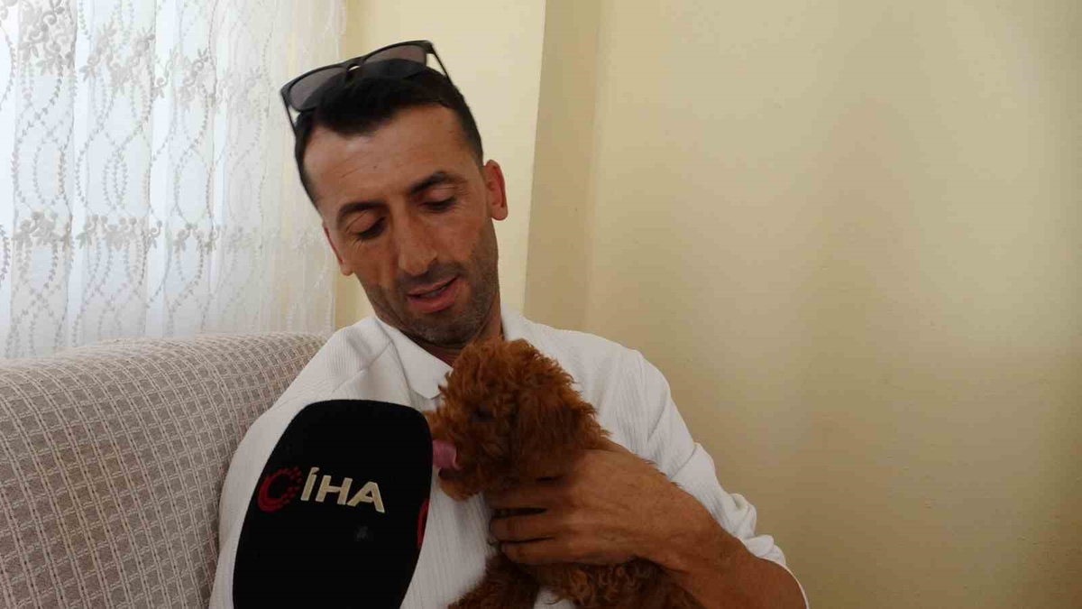 Antalya\'da otobüs şoförü, oyuncak sandığı köpeğin çipsiz olduğunu görünce sahiplendi