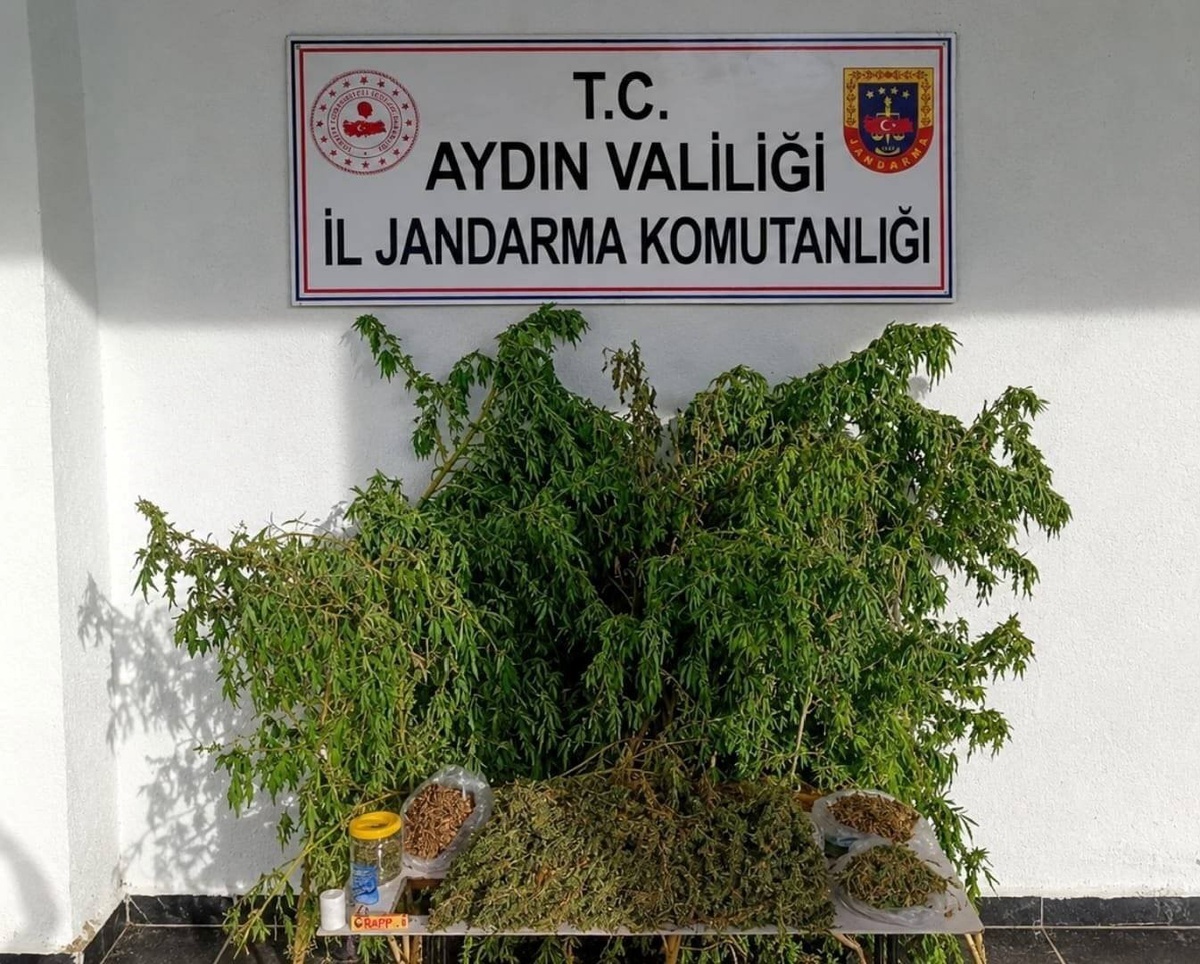 Jandarma, Aydın İncirliova\'da bir evde 3 bin 42 gram esrar ve 47 kök kenevir buldu