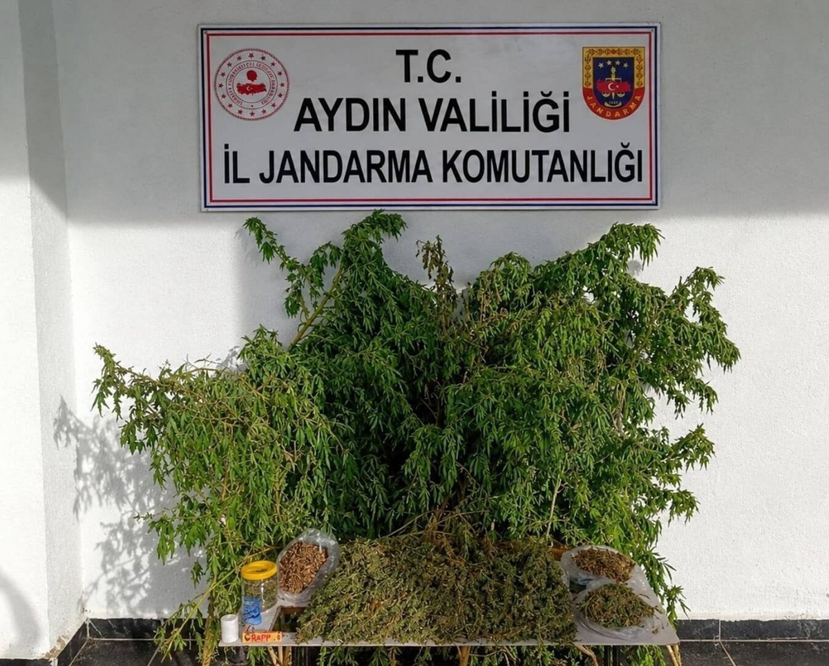 İncirliova\'da jandarma baskınında 3 kilo 42 gram esrar bulundu, H.K. gözaltına alındı