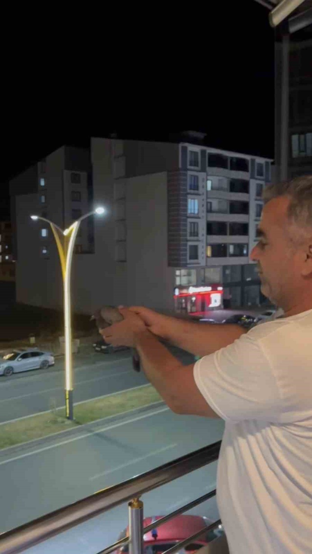 Bingöl Genç'te ev sahibinin ihbarıyla havalandırmadaki 3 güvercin kurtarıldı