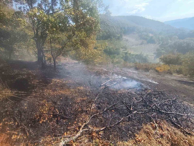 Bolu Mudurnu'da Çevreli'deki otluk yangın itfaiye ekiplerince büyümeden söndürüldü
