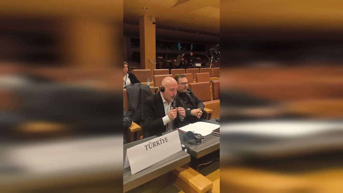 Öztunç, AGİTPA\'da Türk askerini savunarak Filistin benzerliği kurdu
