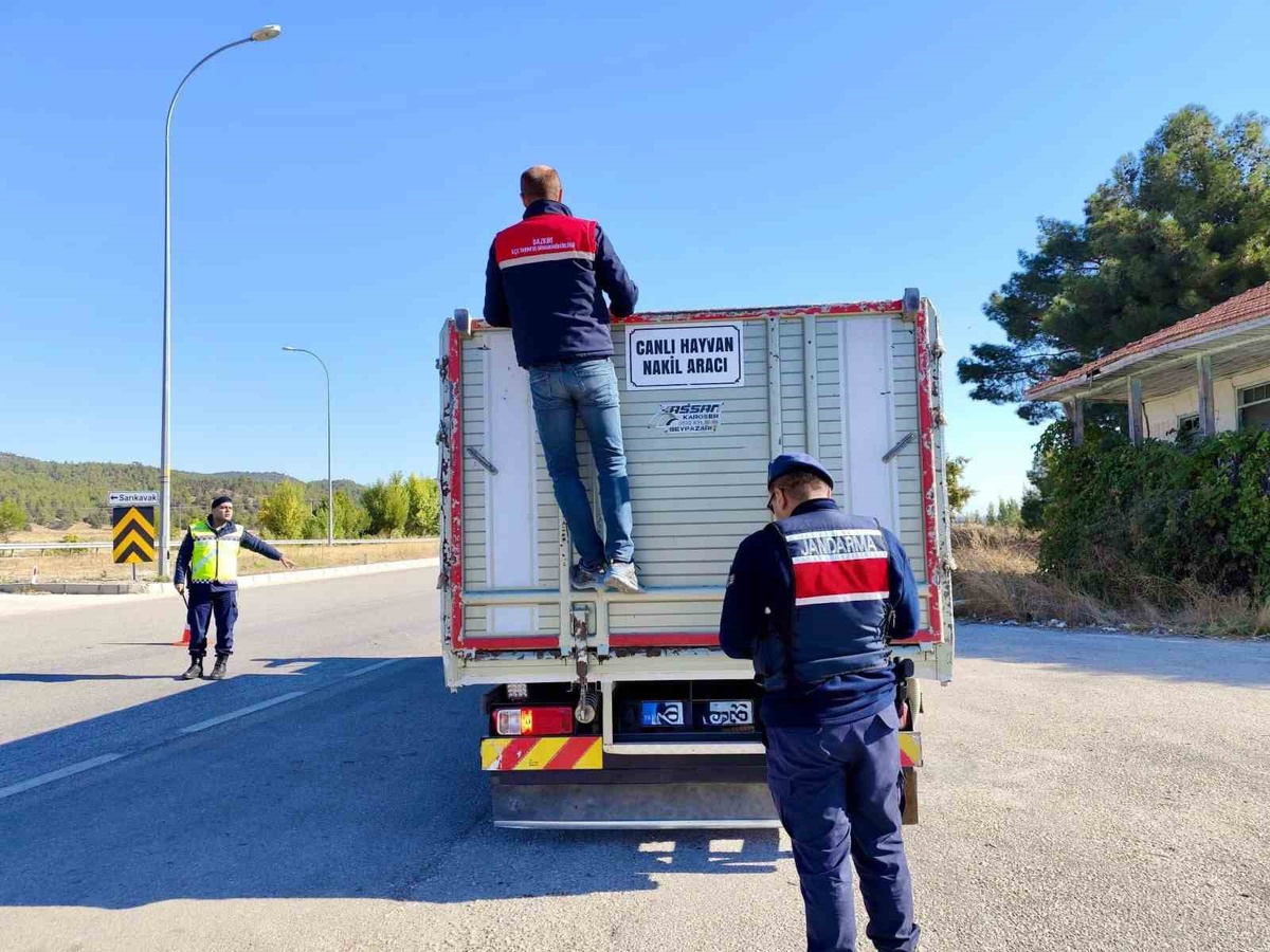 Afyonkarahisar Dazkırı\'da hayvan nakli araçları bulaşıcı hastalığa karşı denetlendi
