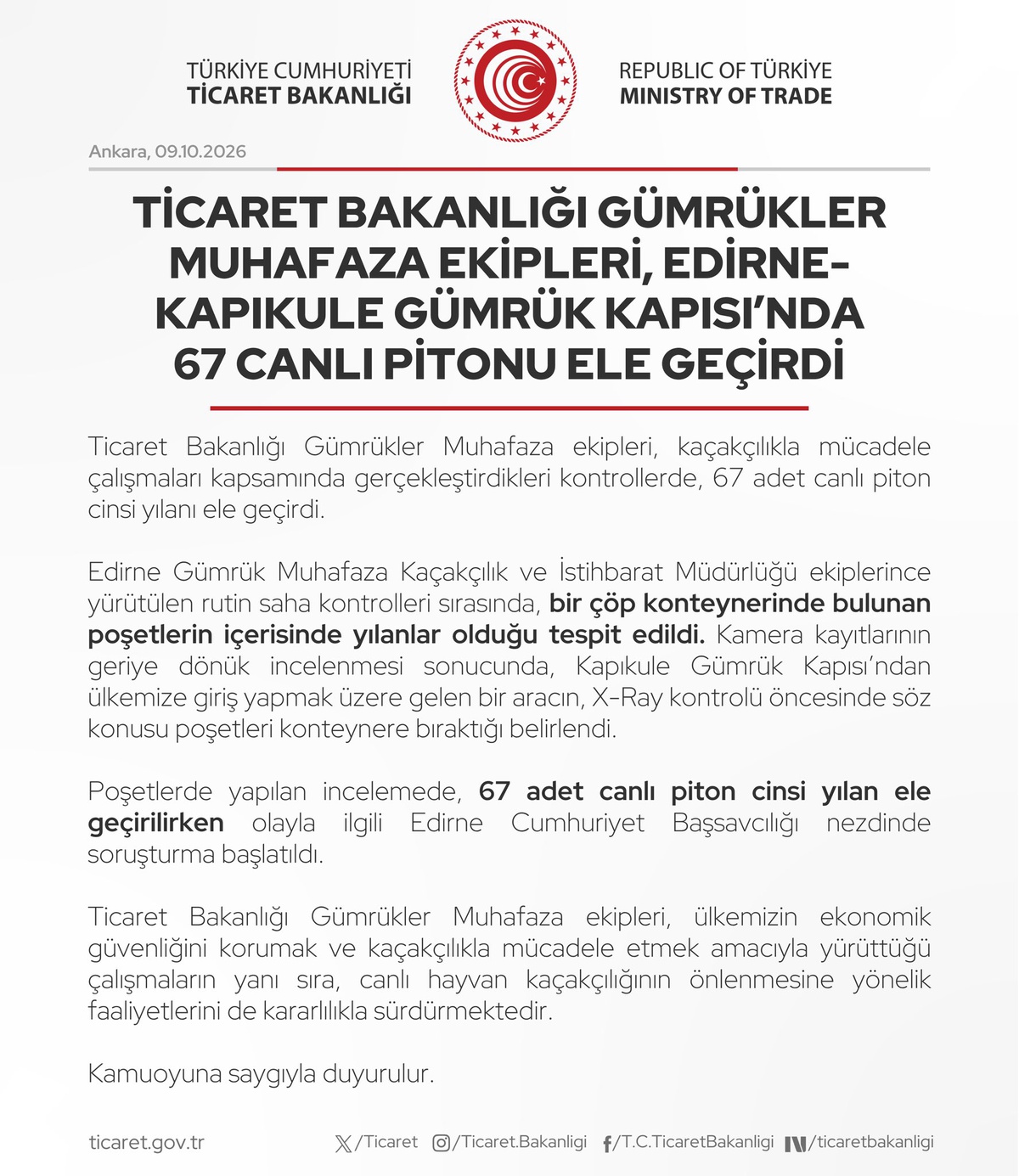 Kapıkule\'den gelen aracın X-Ray öncesi bıraktığı poşette 67 canlı piton bulundu
