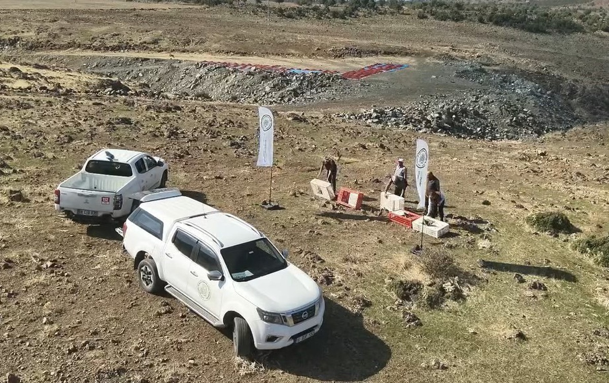Gaziantep İslahiye\'de Doğa Koruma ekipleri yüzlerce kınalı kekliği doğaya bıraktı