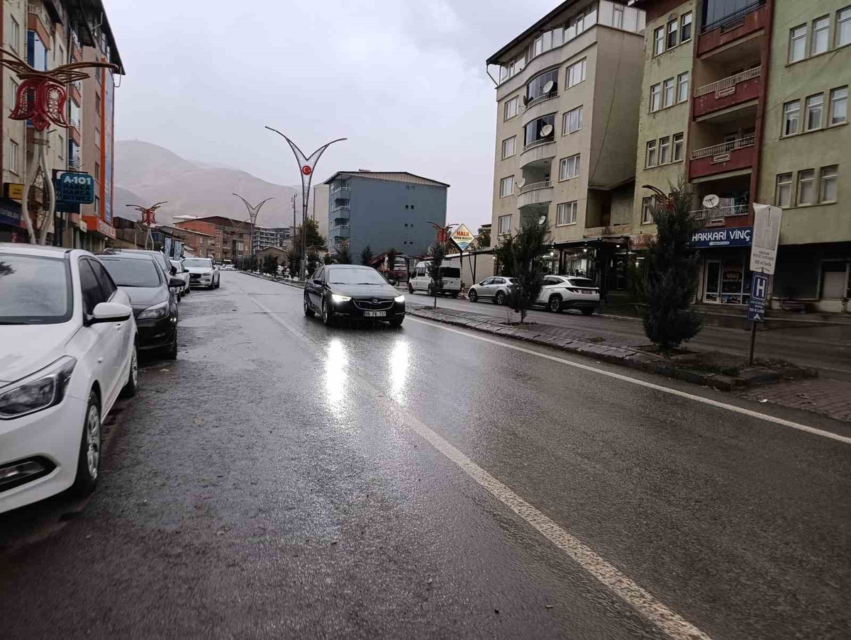 Hakkari\'de sağanak ve sis etkili, Hakkari-Van ve Çukurca yollarında kaya riski var