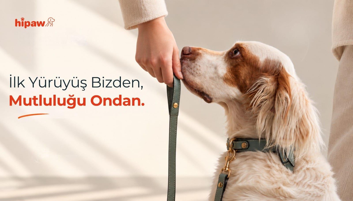 Hipaw’ın pet hizmetleri, İstanbul ve Ankara’daki patili dostlarıyla buluştu