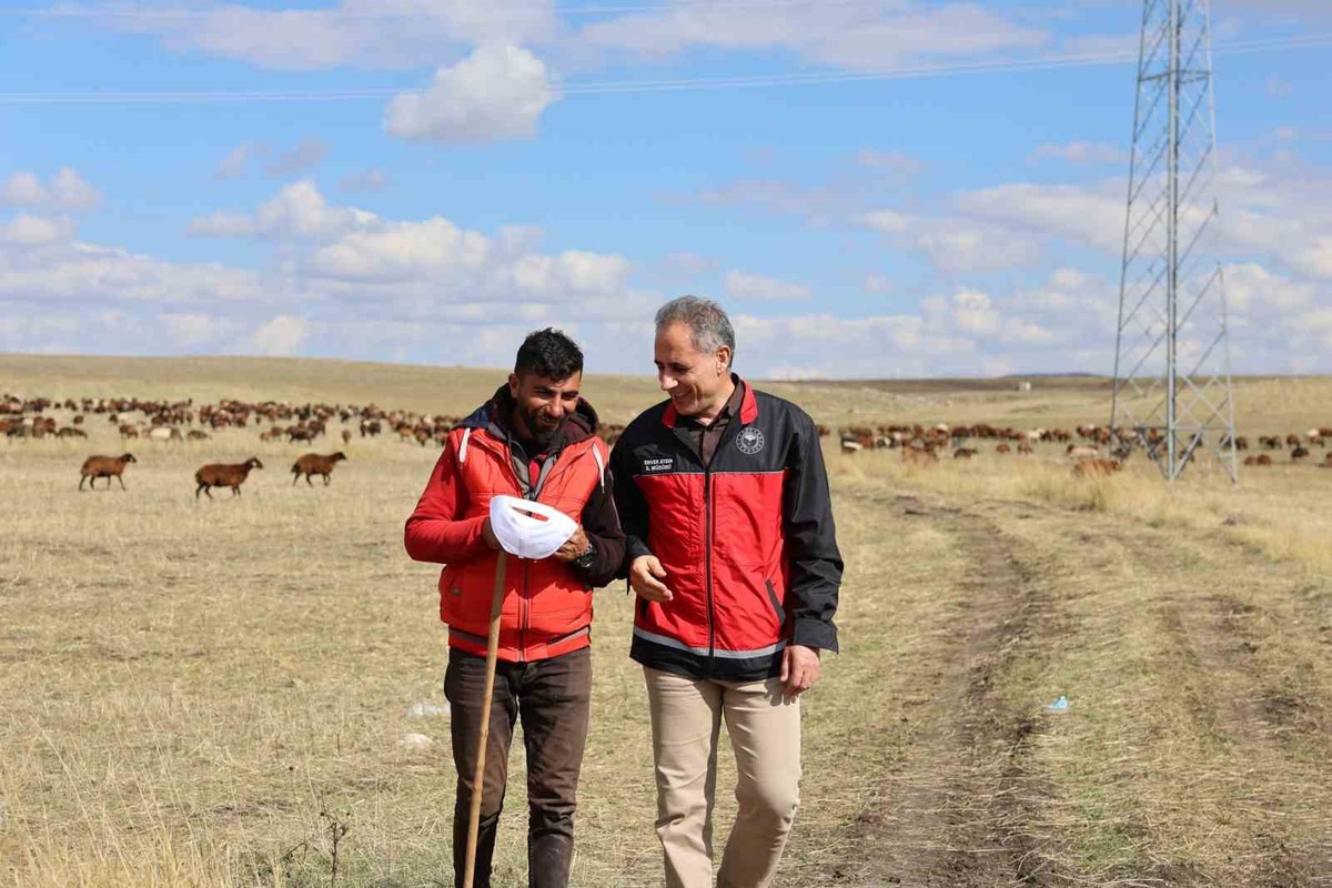 Kars İl Tarım ve Orman Müdürü Aydın, meralarda çobanların çalışmalarını inceledi