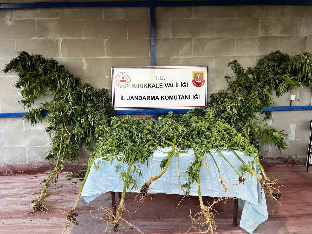 Kırıkkale Hacılar\'da köpeğin tepki verdiği bahçede 1 kilo 240 gram esrar ele geçirildi