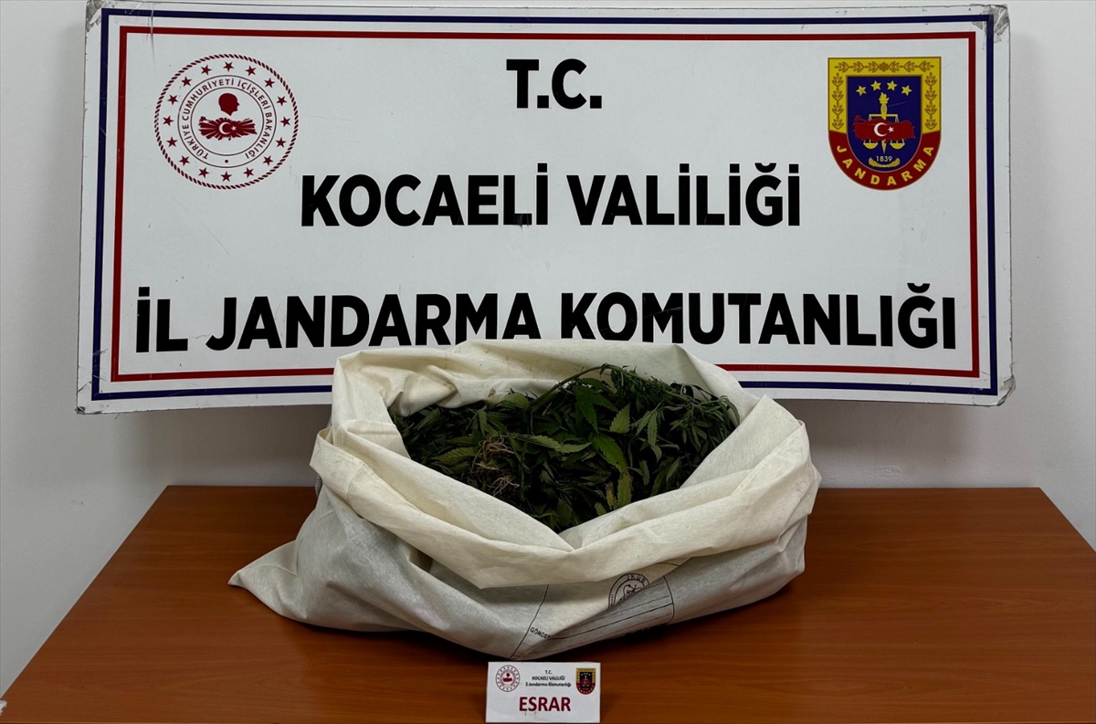 Kocaeli\'de 6 adrese uyuşturucu operasyonu düzenlendi, 7 şüpheli gözaltına alındı