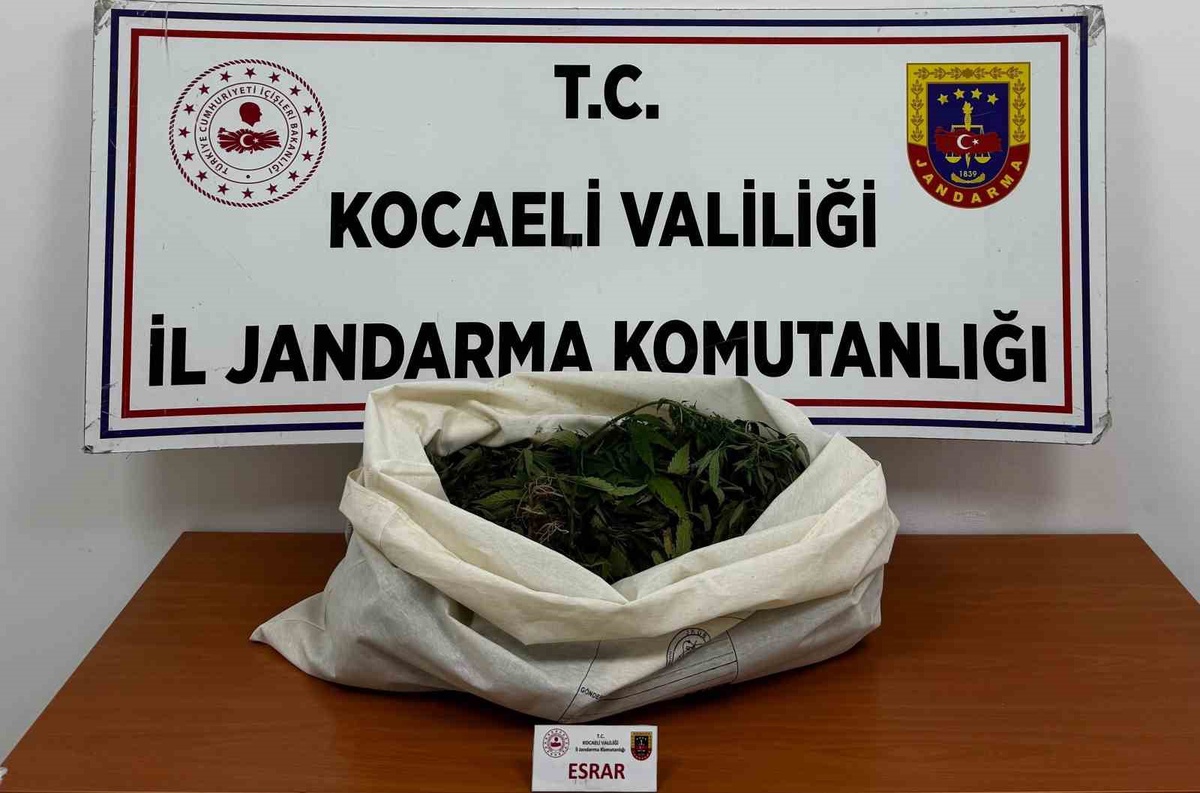 Kocaeli\'de 4 ilçedeki operasyonda 3 kilo 356 gram kubar esrar ele geçirildi