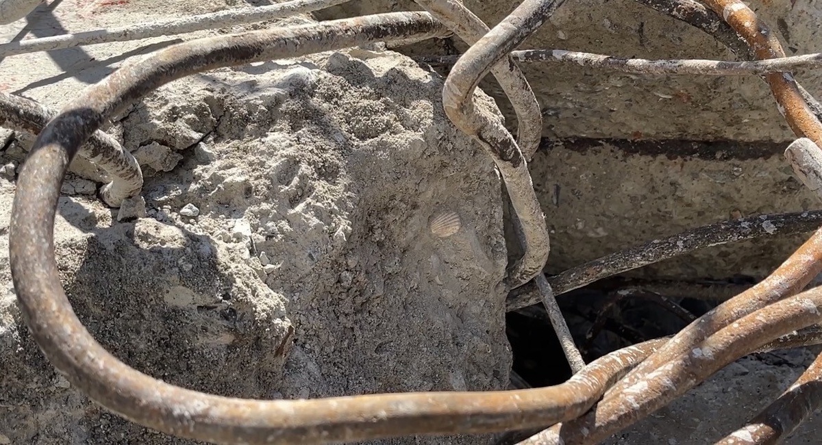 Maltepe\'de çöken binanın betonunda deniz kabuğu görüldü, 5 kişi hayatını kaybetti