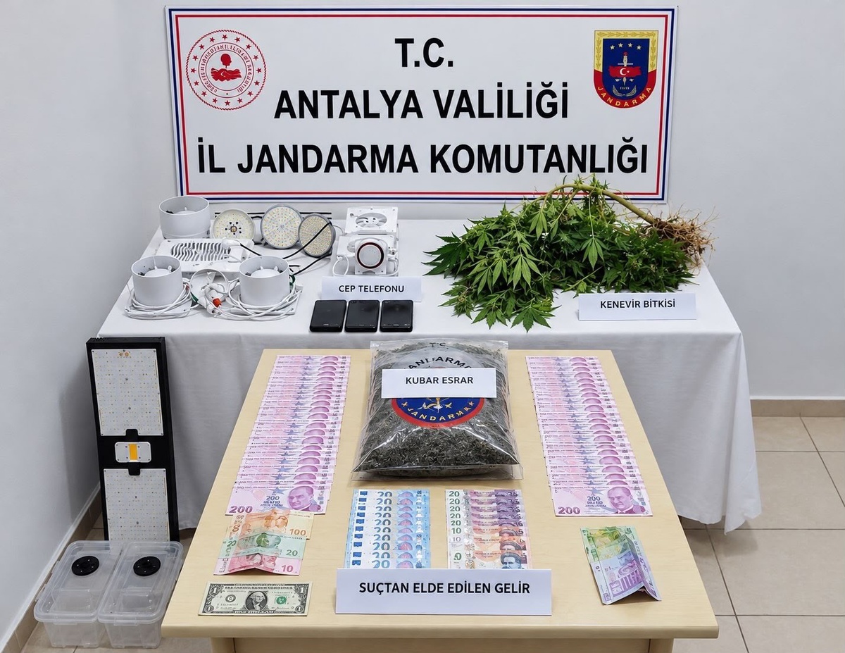 Antalya Manavgat\'ta jandarma, evinde 3 kök kenevir yetiştiren şüpheliyi gözaltına aldı