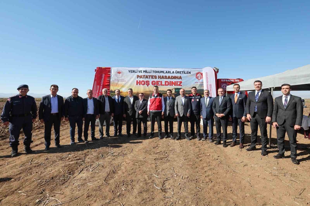 Niğde Konaklı\'da yerli ve milli patates hasadı dekara 4,5-5 ton verimle yapıldı
