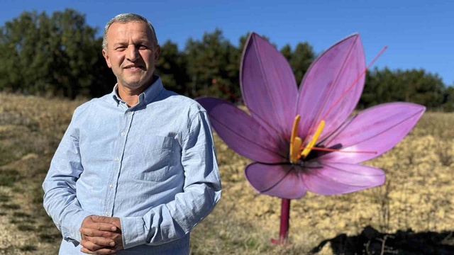 Safranbolu'da safran erken çiçeklendi, kilogramı 800 bin liradan satılacak