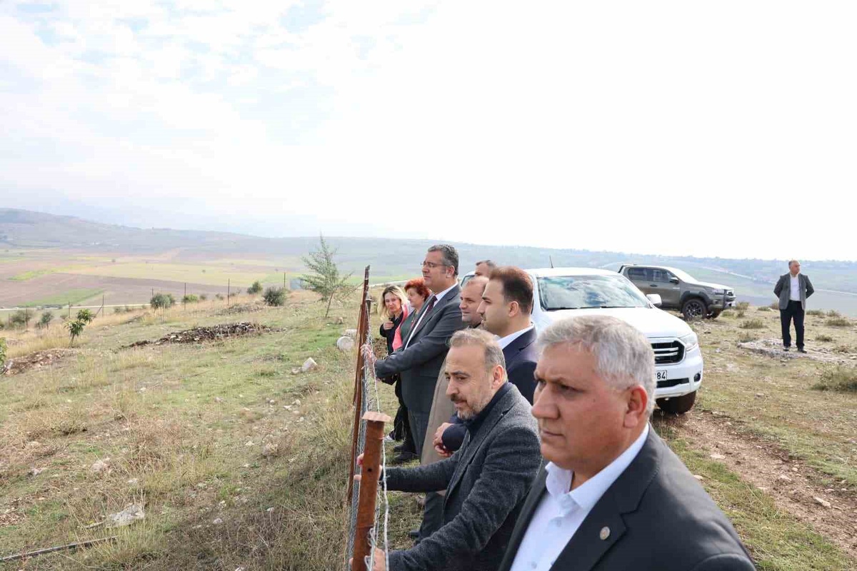 Samsun Vezirköprü\'de 7 bin büyükbaş kapasiteli Besi OTB için saha incelemesi yapıldı