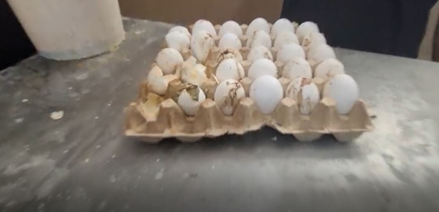 Şanlıurfa Haliliye'de denetimde 170 kilo bozuk et imha edildi, işletmeler mühürlendi