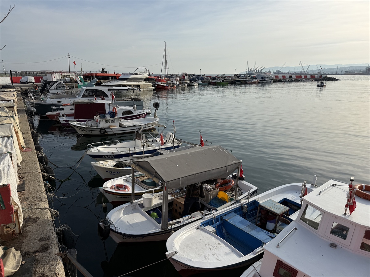 Tekirdağlı balıkçılar, palamut bolluğu için kasım sonuna kadar Karadeniz\'de avlanacak