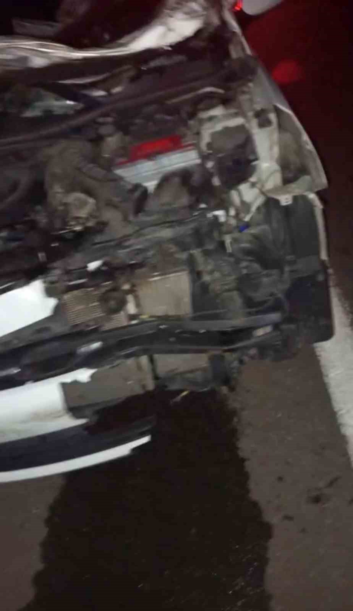 Bingöl\'de ineğe çarpan otomobilde 2\'si ağır, biri bebek 4 kişi yaralandı