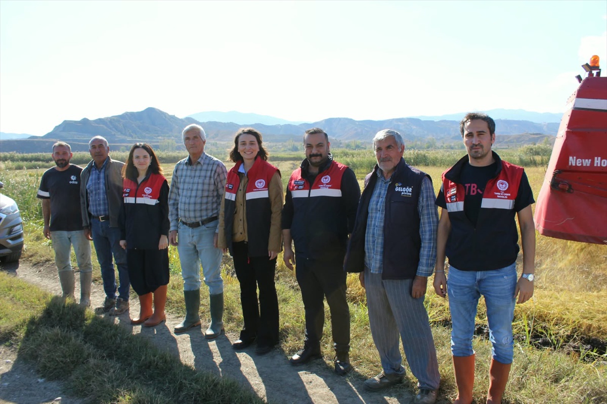 Dodurga Kaymakamı Tokur, çeltik üreticilerini ziyaret edip bol kazançlı hasat diledi