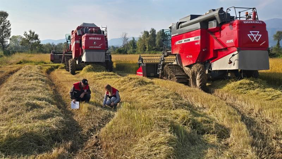 Düzce\'de biçerdöver denetimleri sürüyor, üreticilere anız yakmama uyarısı yapılıyor