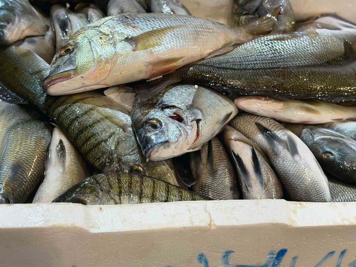 İzmir Buca Balık Hali\'nde denetimde 45 kilo yasa dışı su ürünü müsadere edildi