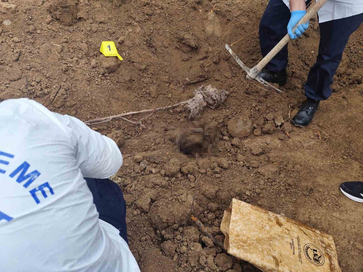 Kırşehir\'de 20 yıl sonra bulunan kemiklerle ilgili soruşturmada 2 oğul tutuklandı