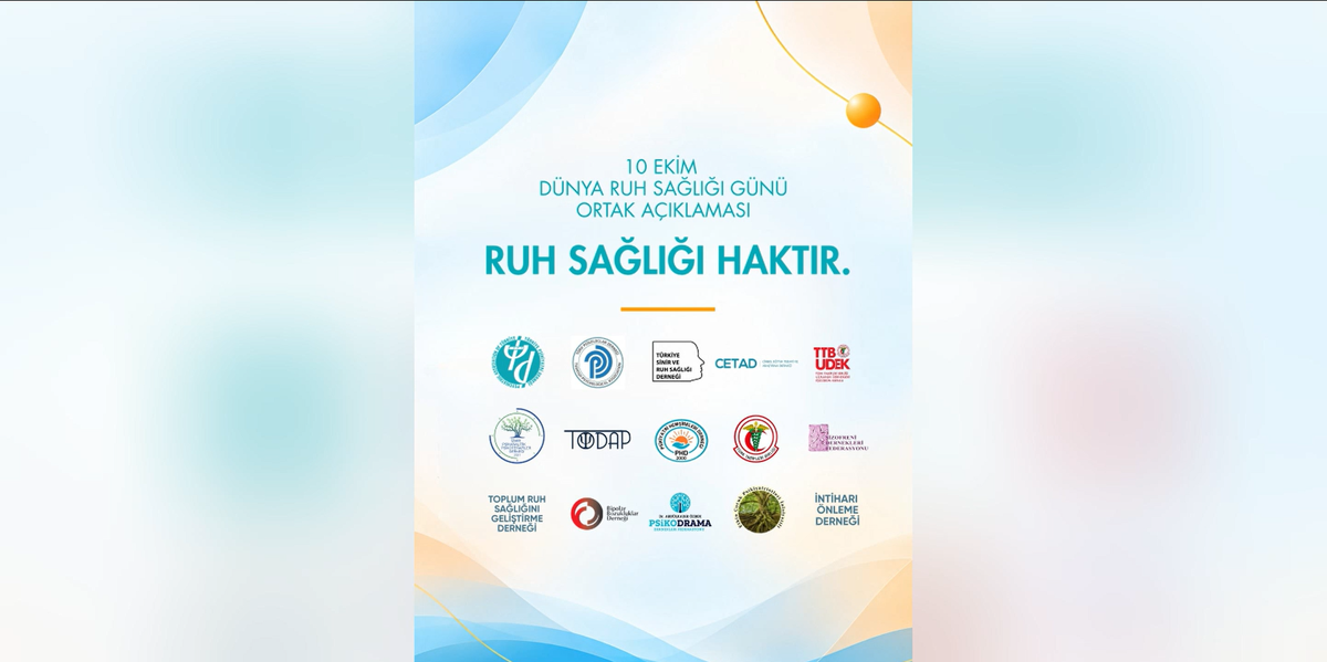 Psikiyatri Derneği, TTB, \'müstehcenlik\' soruşturmasındaki erişim engeline karşı çıktı